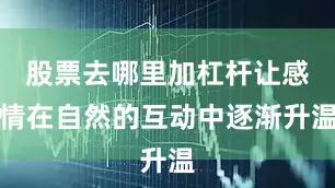 股票去哪里加杠杆让感情在自然的互动中逐渐升温