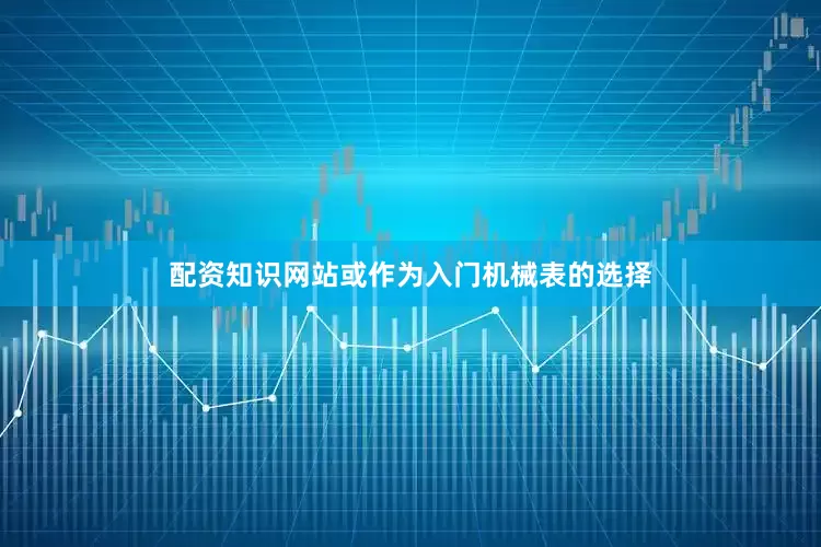 配资知识网站或作为入门机械表的选择