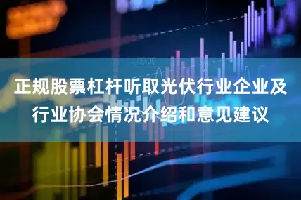 正规股票杠杆听取光伏行业企业及行业协会情况介绍和意见建议